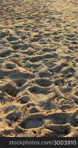 sand dunes on beach