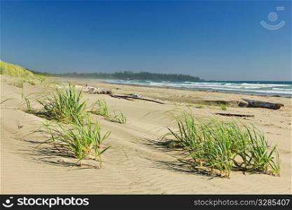 Sand dunes on Long Beach in Pacific Rim National park, Canada