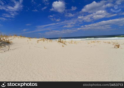 Sand dunes on the beach