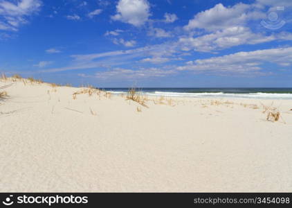 Sand dunes on the beach