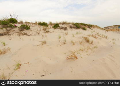 Sand dunes on the beach