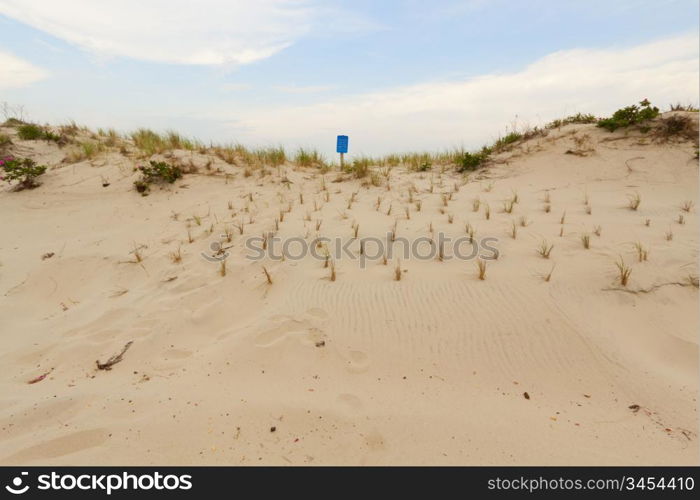 Sand dunes on the beach