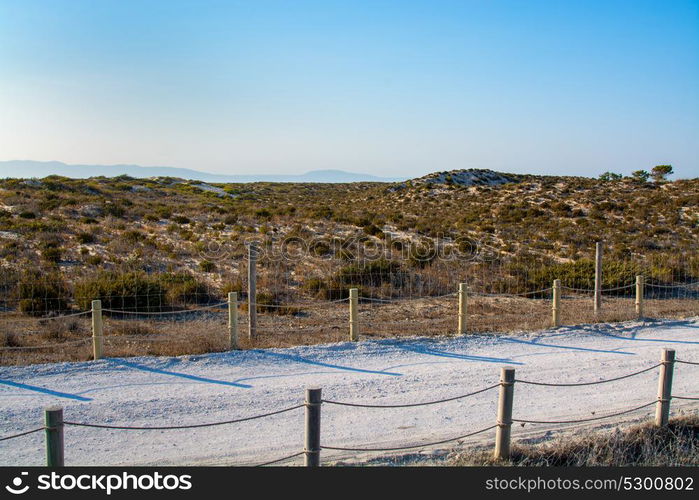 sand dunes with vegetation and dirt road in comporta alentejo Portugal