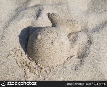 sand form on a beach. fish out of sand on a beach, sandbox, play