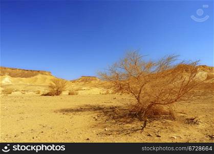 Sand Hill In The Negev Desert, Israel.