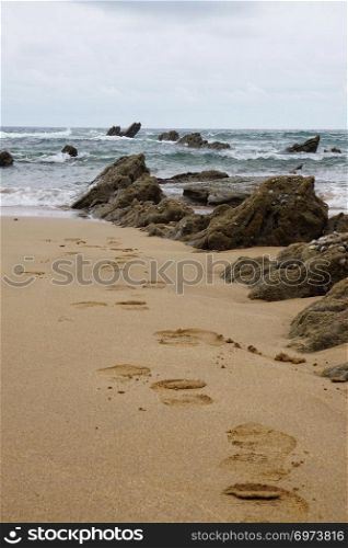 sand in the beach