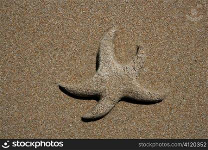 Sand made starfish on the sea shore coastline