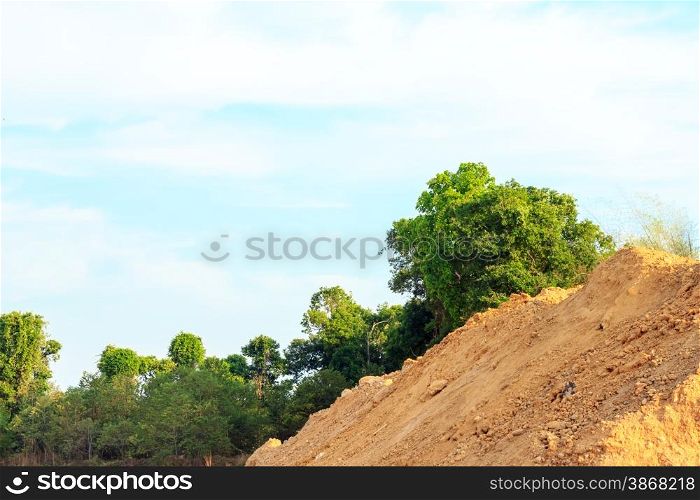 Sand mound for construction on the field of forest.