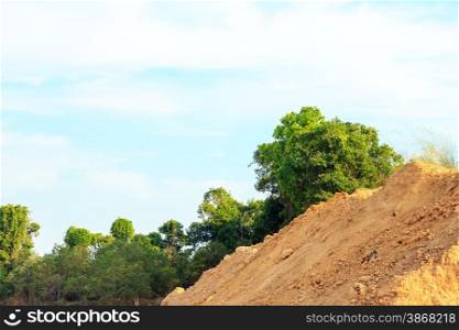 Sand mound for construction on the field of forest.