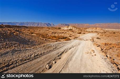 Sand Road in the Judean Desert