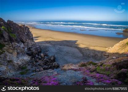 Sand shore and ocean in San Francisco