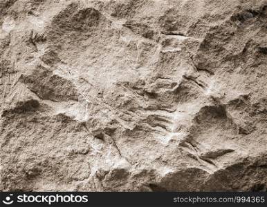 Sand Stone texture background.