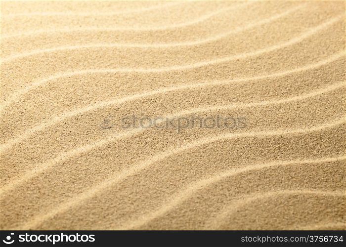 Sand summer background. Sandy beach texture. Copy space
