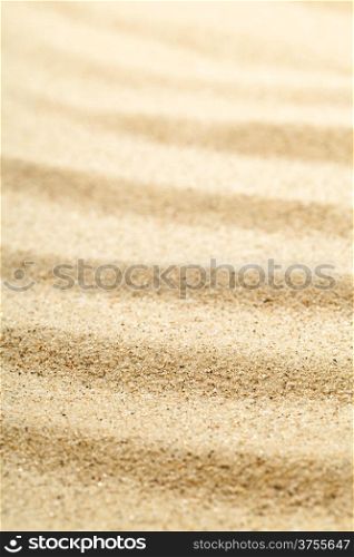 Sand texture for background. Sandy beach for summer composition