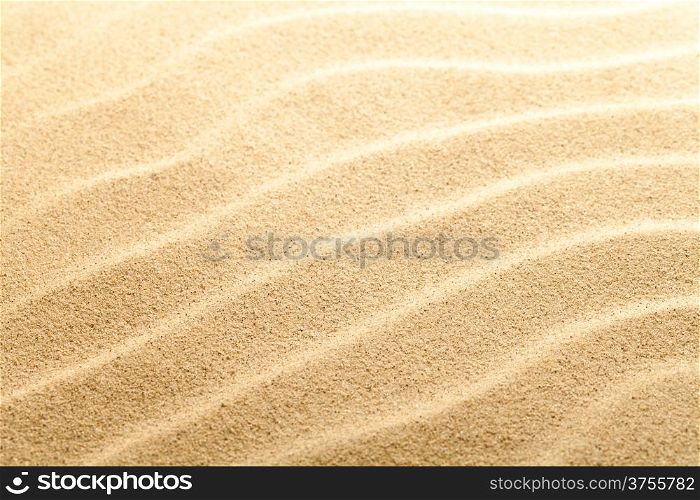 Sand texture for background. Sandy beach. Macro shot