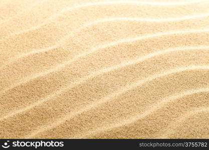 Sand texture for background. Sandy beach. Macro shot