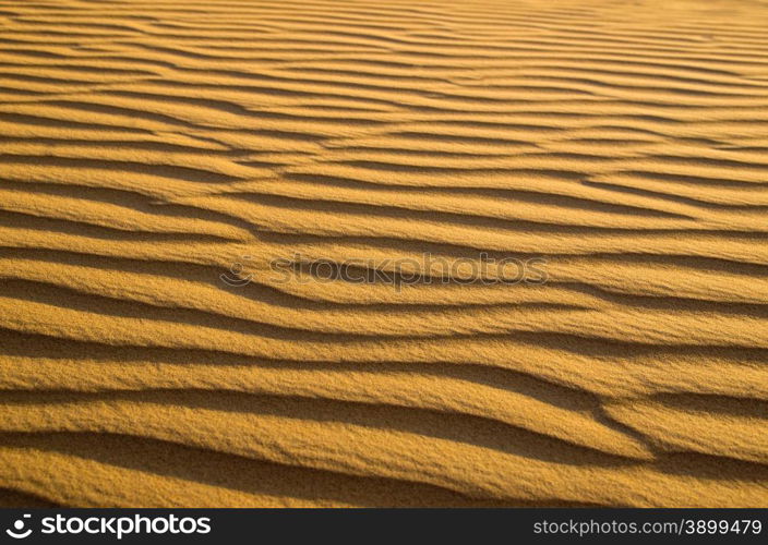 sand texture in Gold desert