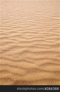 sand texture in Gold desert