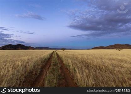 Sand tracks in dry grass under blue sky after sunset Namibia