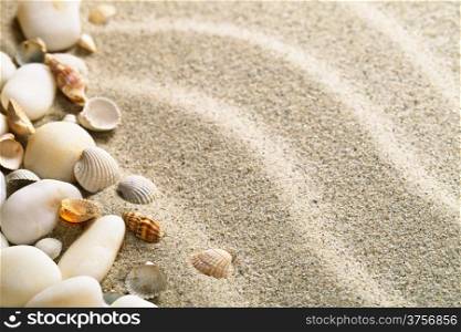Sand with shells and stones. Beach composition with copy space