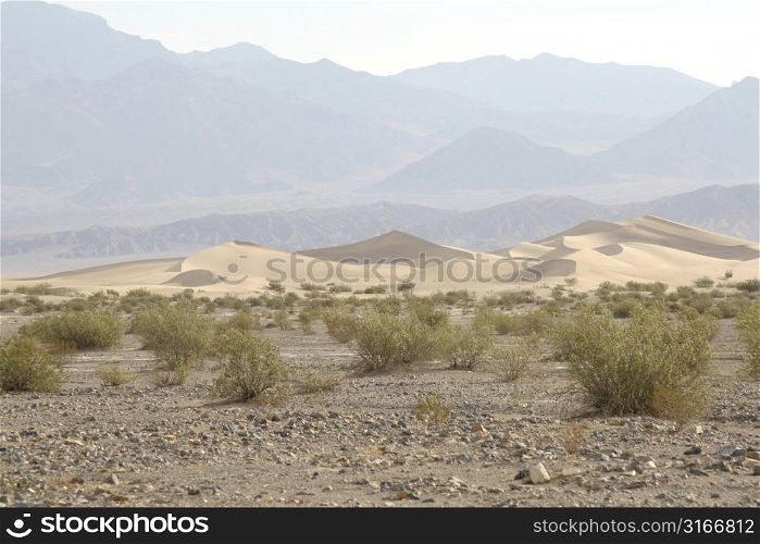 Sanddunes in Death Valley, California
