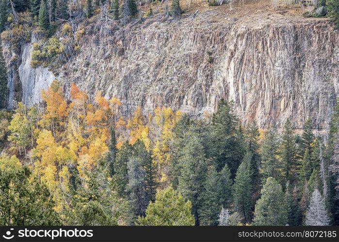 sandstone cliff and aspen grove in fall colors - overlook of Deep Creek Canyon near Dotsero in Rocky Mountains, Colorado