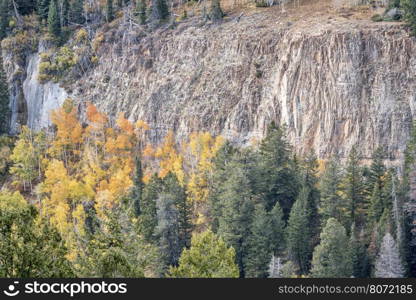 sandstone cliff and aspen grove in fall colors - overlook of Deep Creek Canyon near Dotsero in Rocky Mountains, Colorado