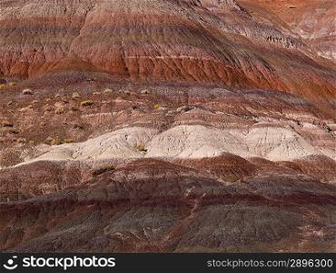 Sandstone cliffs, Paria Canyon, Paria, Kane County, Utah, USA