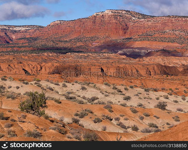 Sandstone cliffs, Paria Canyon, Paria, Kane County, Utah, USA