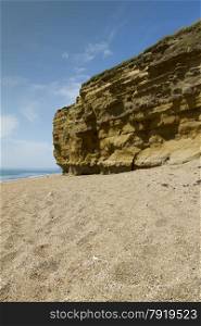 Sandstone Cliffs with pebbled beach. Hive Beach, Burton Bradstock, Bridport, Dorset, England, United Kingdom.