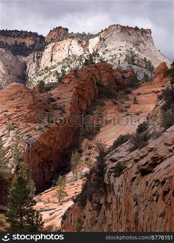 Sandstone cliffs, Zion National Park, Utah, USA