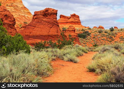 Sandstone formations in Utah, USA.