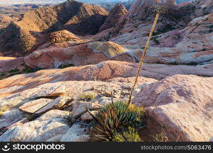 Sandstone formations in Utah, USA. Yant flats