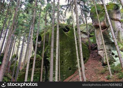 Sandstone mossy rocks in autumn forest, Bohemian Paradise (Cesky Raj), Czech Republic