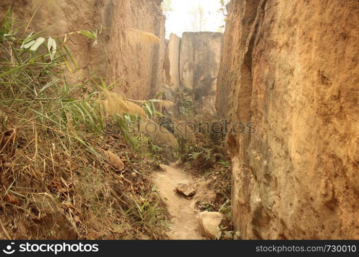 sandstone or limestone canyon walls seen from the canyon floor at an eroded land split in Northern Thailand, Southeast Asia. sandstone or limestone canyon walls seen from the canyon floor at an eroded land split in Northern Thailand, Southeast Asiasandstone or limestone canyon walls seen from the canyon floor at an eroded land split in Northern Thailand, Southeast Asia