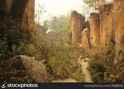 sandstone or limestone canyon walls seen from the canyon floor at an eroded land split in Northern Thailand, Southeast Asia. sandstone or limestone canyon walls seen from the canyon floor at an eroded land split in Northern Thailand, Southeast Asiasandstone or limestone canyon walls seen from the canyon floor at an eroded land split in Northern Thailand, Southeast Asia