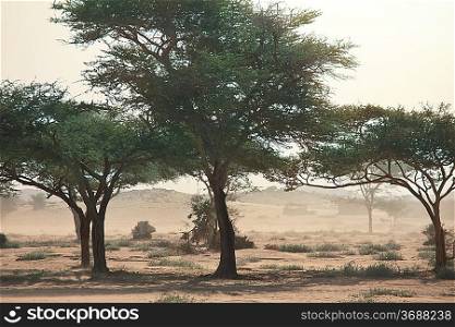 Sandstorm in desert,Sudan