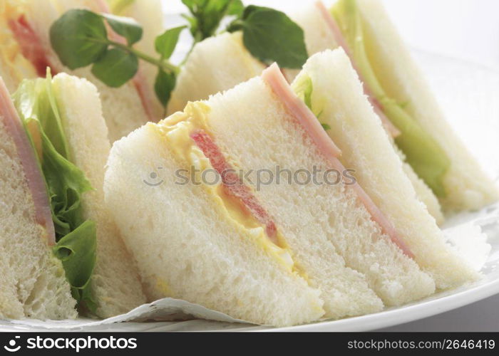 Sandwich