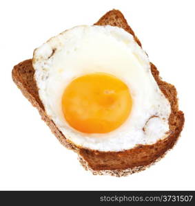 sandwich from fried egg and toasted rye bread close up isolated on white background