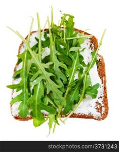 sandwich from rye bread, soft cheese and fresh arugula isolated on white background