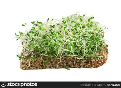 sandwich with alfalfa sprouts isolated on white