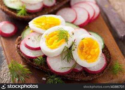 sandwich with egg radish cucumber