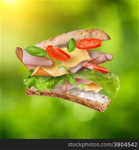 Sandwich with falling ingredients in the air against natural green background - slices of fresh tomatoes, ham, cheese and lettuce