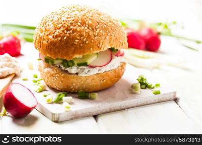 Sandwich with fresh cream cheese, radish and cucumber