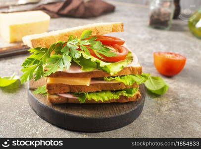 sandwich with ham cheese and tomato, sandwich on board