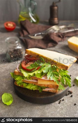 sandwich with ham cheese and tomato, sandwich on board