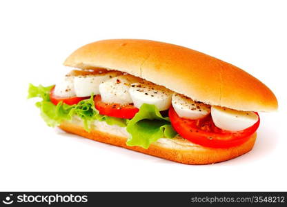 Sandwich with mozzarella tomato and salad