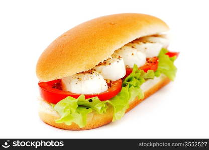 Sandwich with mozzarella tomato and salad