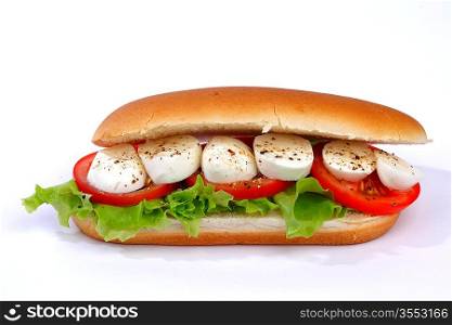 Sandwich with mozzarella tomato and salad