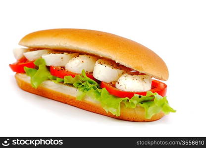 Sandwich with mozzarella tomato and salad